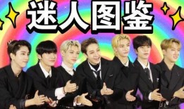 straykids在线观看,在线观看体验全解析